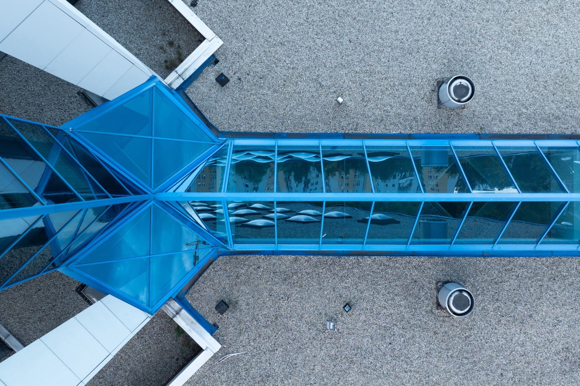 WIŚNIOWSKI Biblioteka Śląska