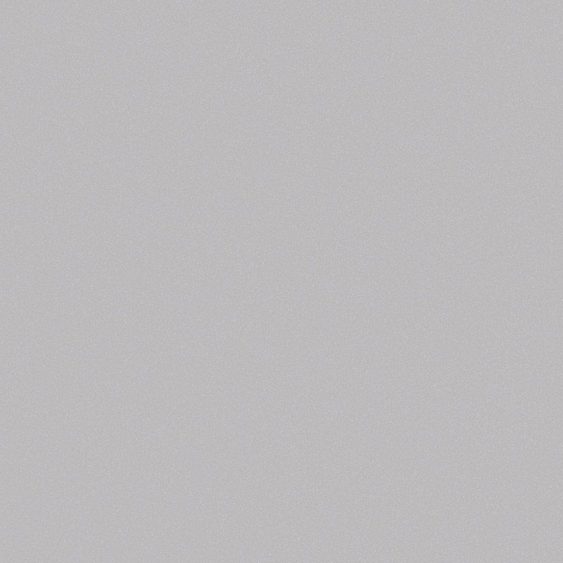 Srebrny | RAL 9006 silkline