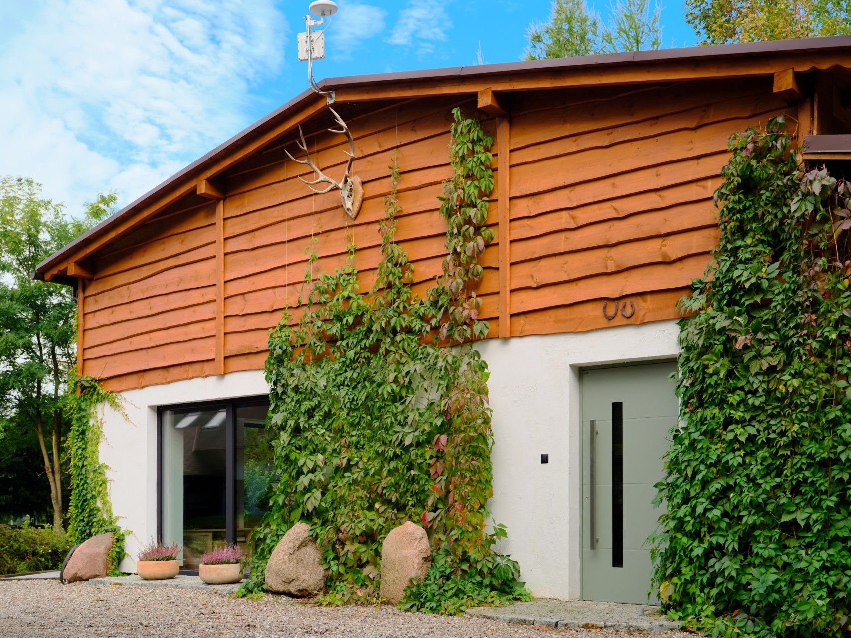 drzwi CREO HI willow green