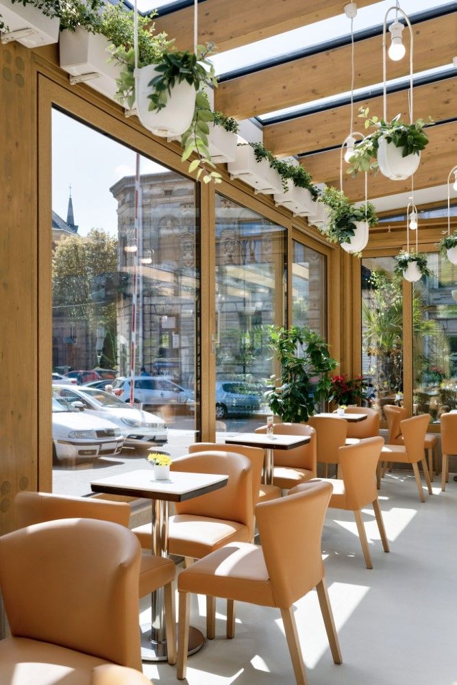 Okna i drzwi tarasowe WIŚNIOWSKI